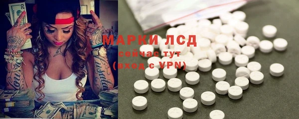 прущие крисы Белокуриха